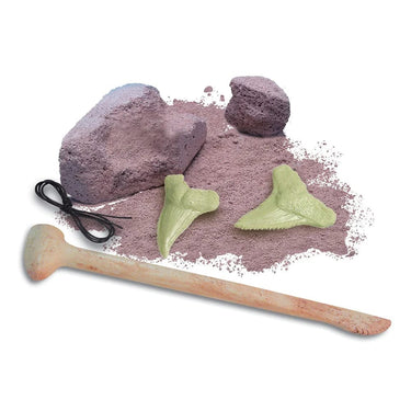4m stem 4M - KIDZLABS - SHARK TOOTH FOSSIL